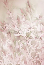 Soft Pink Botanicals