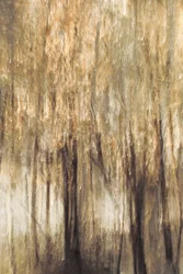 Tranquil Forest Motion