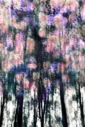 Vibrant Forest Dreams