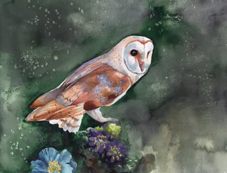 Barn Owl Nocturnal Blooms