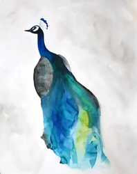 Elegant Blue Peacock