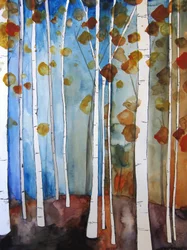 Fall Birches Blue Sky