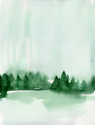 Misty Forest Lake