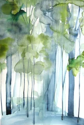 Misty Green Forest