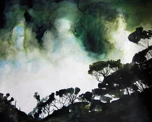 Moody Forest Sky