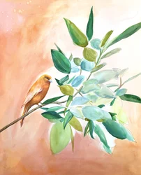 Orange Bird on Branch