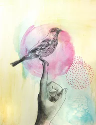 Pink Bird Finger Perch
