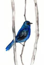Vibrant Blue Songbird