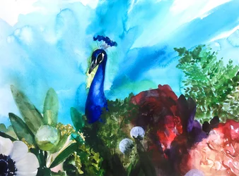 Vibrant Peacock Garden