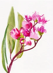 Vibrant Pink Blossoms