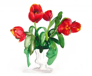Vibrant Red Tulips
