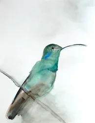 Watercolor Teal Hummingbird