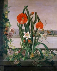 Still Life of Cactus, Lilies, and Passionflowers on the Window Ledge