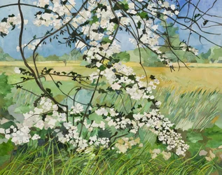 Blossom Tree, 2015