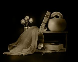 Memento Mori Still Life