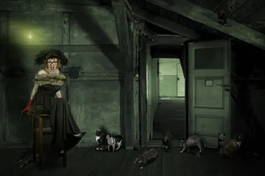 Eccentric Woman In Attic