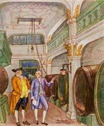 Weinkellerei / Winery