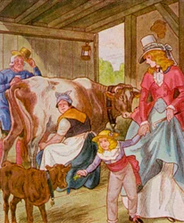 Visit to the Cowshed