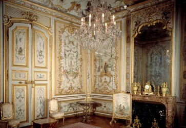 View of the Cabinet of the Monkeys