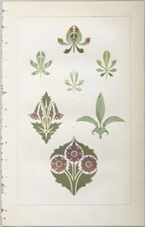 The art of decorative design: with an appendix, giving the hours of the day at which flowers open, published by Day & Son, London, 1862