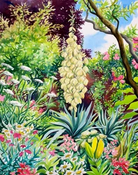 Garden with Flowering Yucca