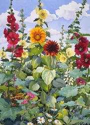 Hollyhocks and Sunflowers, 2003