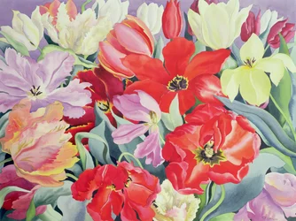 Massed Tulips, 2003
