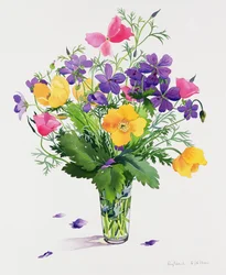 Poppies and Geraniums