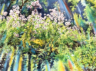 Thistledown, 2016