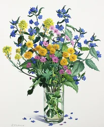 Wild Flowers with Alkanet