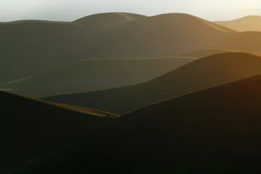 Golden Rolling Hills