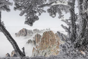 Misty Winter Peaks