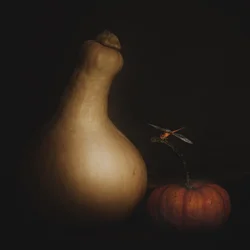 Autumn Squash Dragonfly