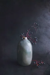 Dark Berries In Vase