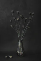 Dark Botanical Still Life