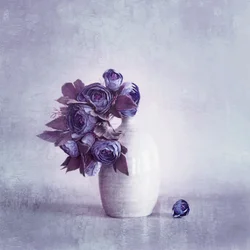 Delicate Purple Blooms