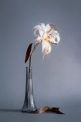 Fading Lily Still Life