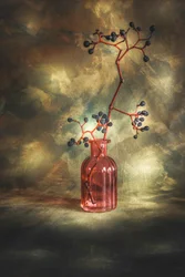 Moody Berries Still Life