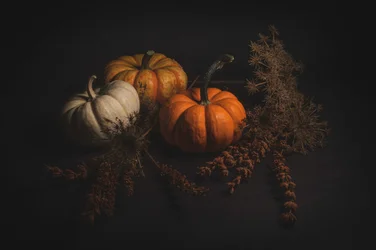 Rustic Autumn Pumpkins