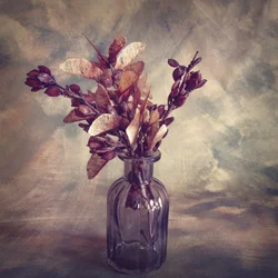 Rustic Dried Botanicals
