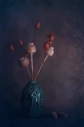 Rustic Pods Still Life