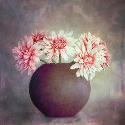 Soft Pink Floral Still Life