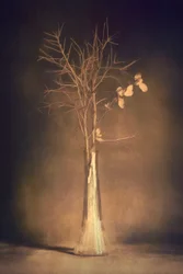 Warm Branch Vase