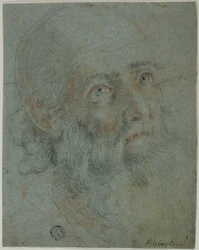 Head of a Bearded Man, Looking Up to Right (detail)