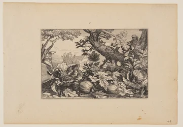 Tree and Melons, from Landscapes
