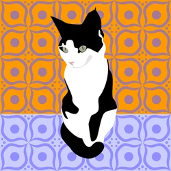 Cat on Moroccan Tiles