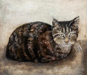 Curious Tabby Cat