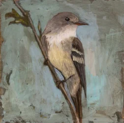 Muted Bird on Branch
