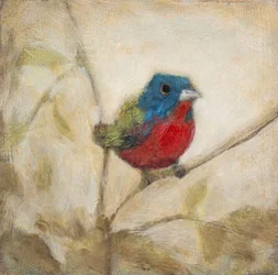 Painted Bunting Bird