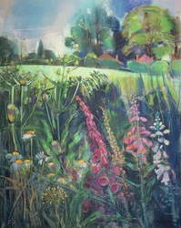 Summer Field